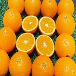 오렌지 중에서 가장 당도 높은 블랙라벨 오렌지! 12브릭스 이상급!!