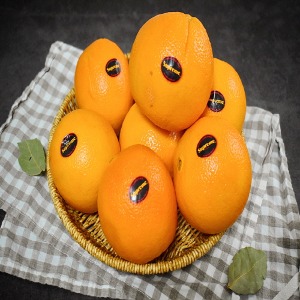 [주말특가] 미국 직수입 오렌지 중에서 가장 당도 높은 블랙라벨 오렌지! 12브릭스 이상급!! 무료배송